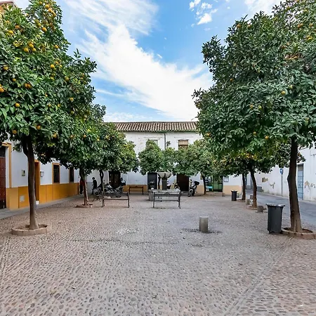 Bhost - Yaya Maria Córdoba