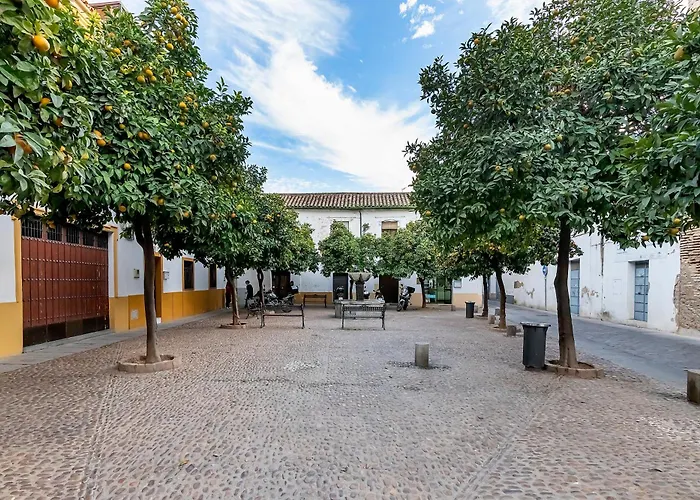 Bhost - Yaya Maria 科爾多瓦